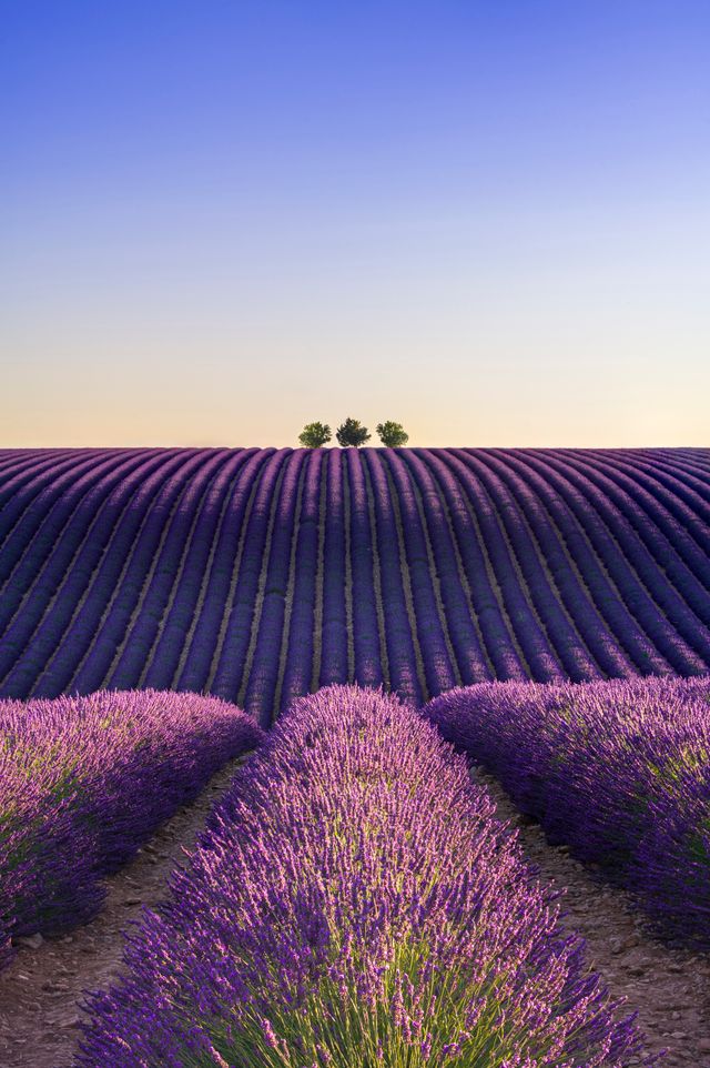 France Beyond Paris A Complete Guide to the World's Most Visited Country